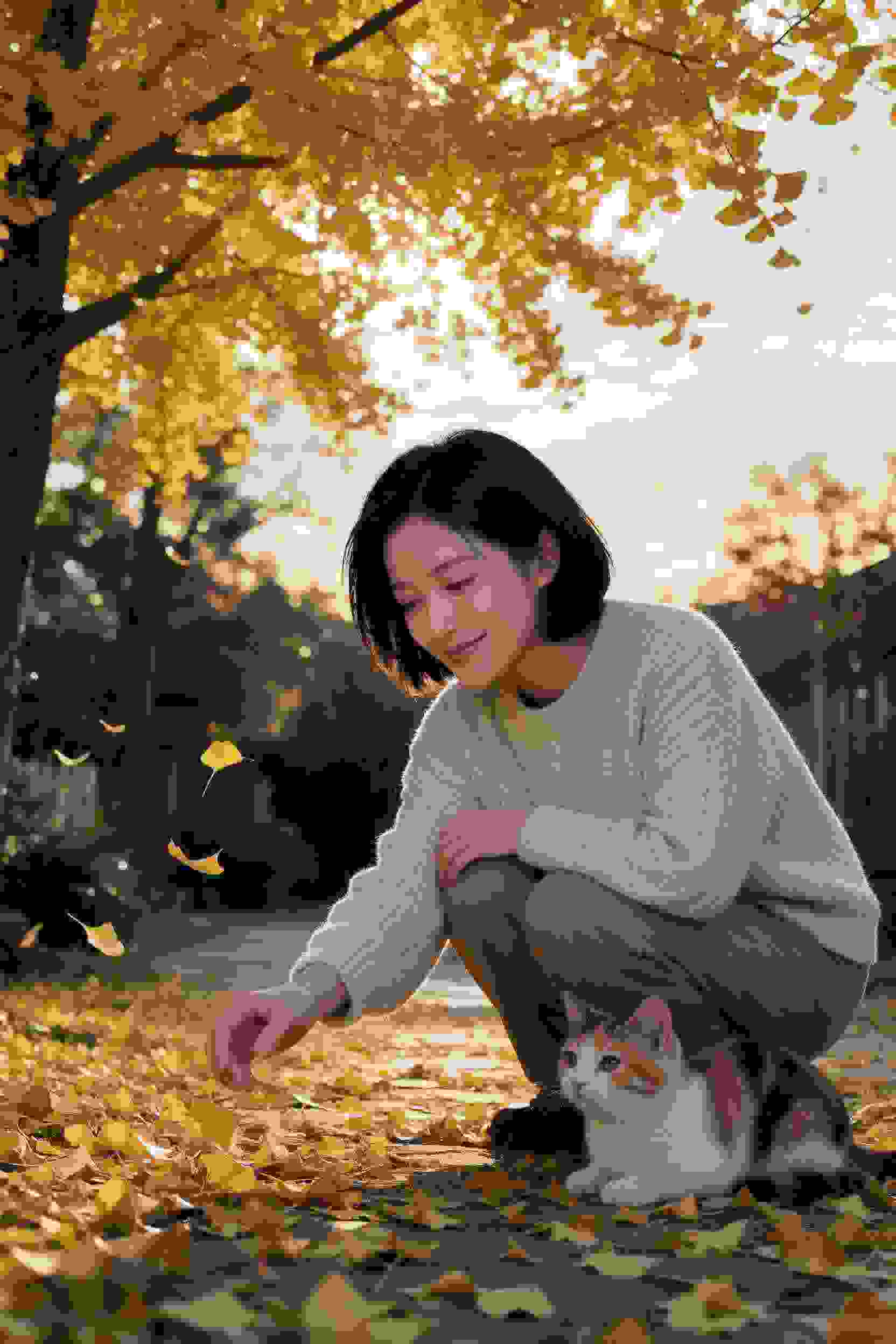 天下归心
